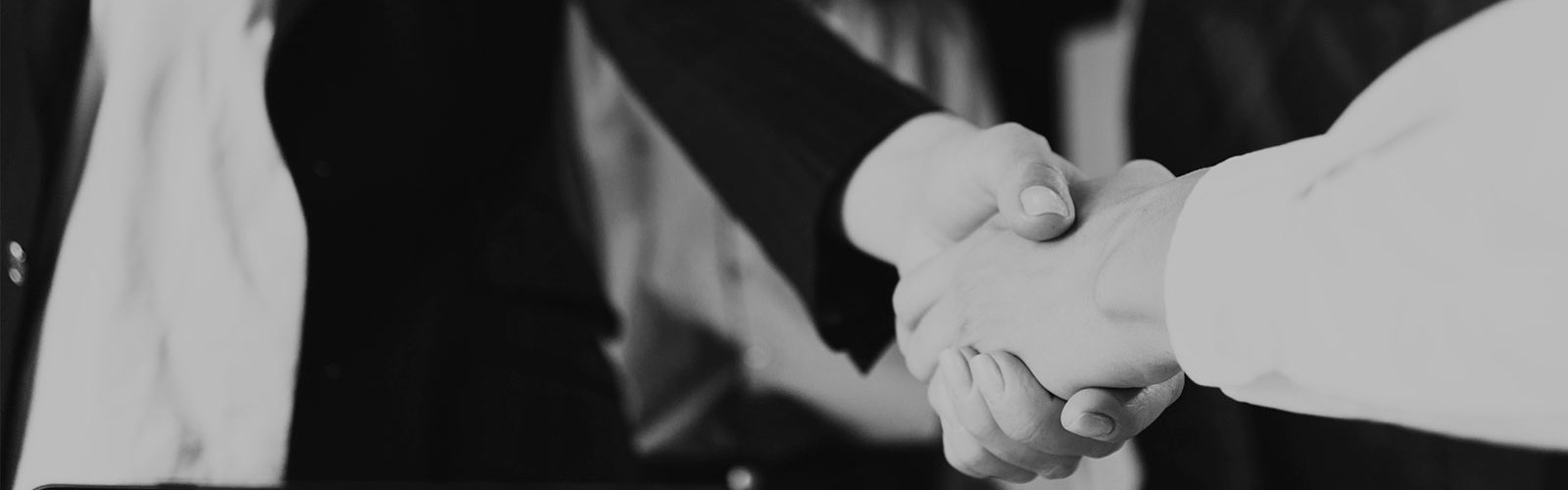Close up of two people shaking hands