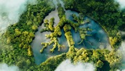 A conceptual image showing a lung-shaped lake in a lush and pristine jungle