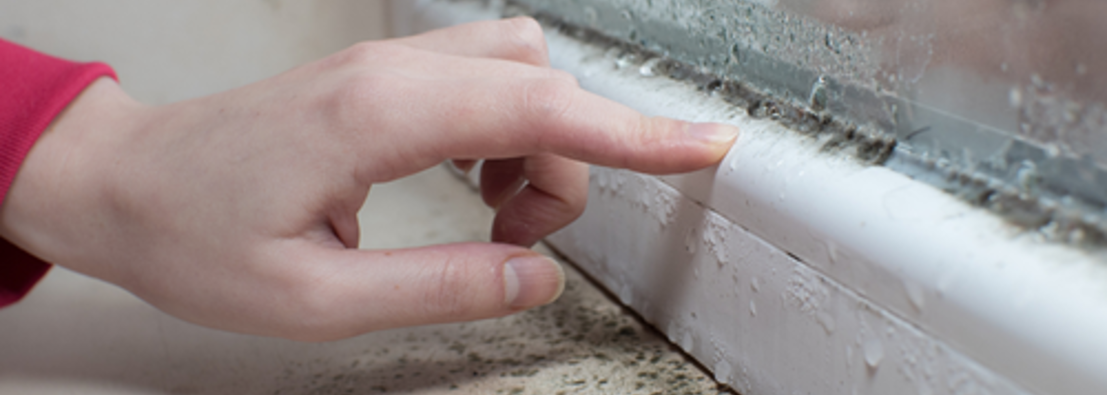 New guidance on damp and mould for rented housing providers