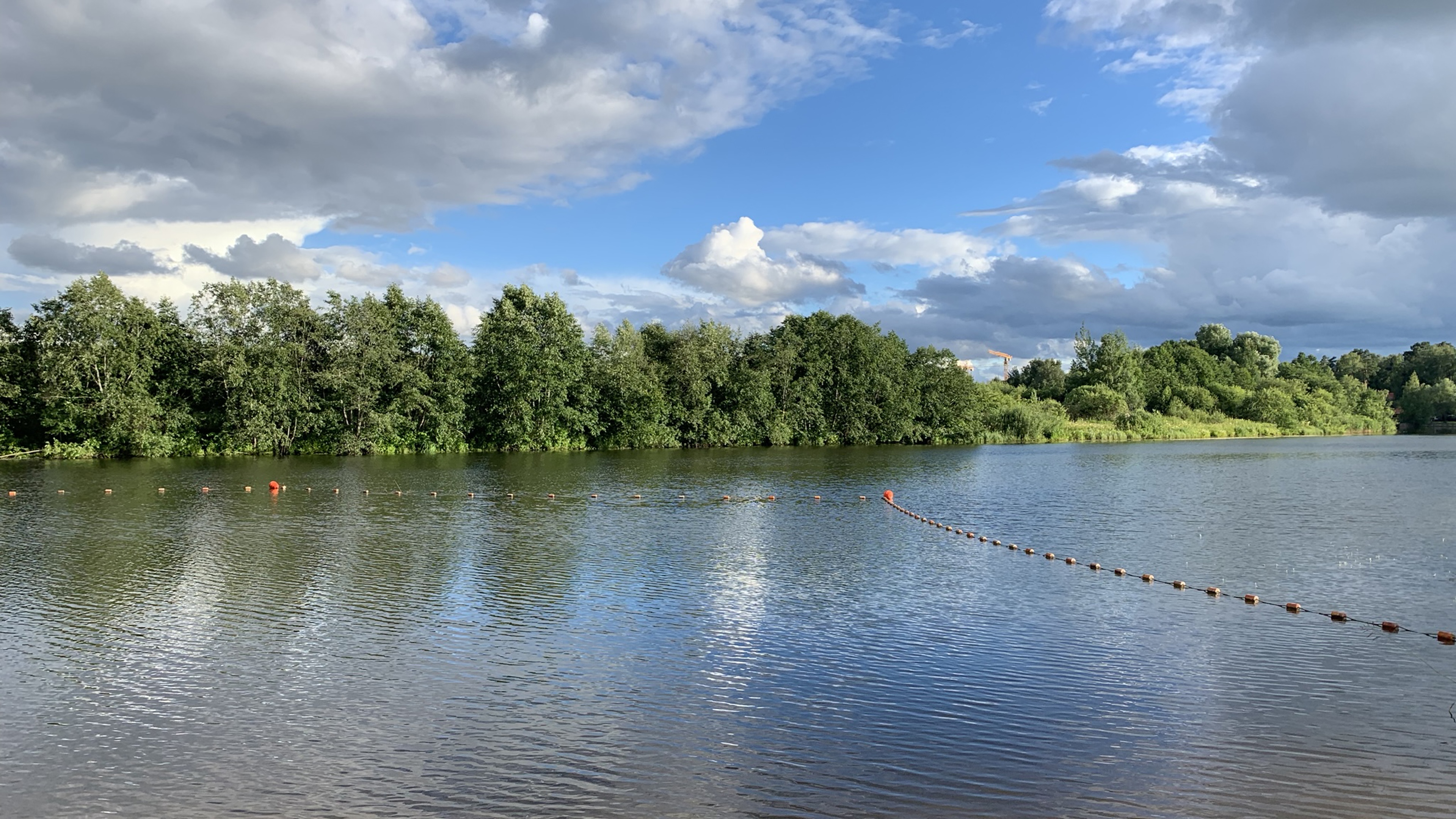 Wild swimming - a boost for mental health, but what about our physical health?