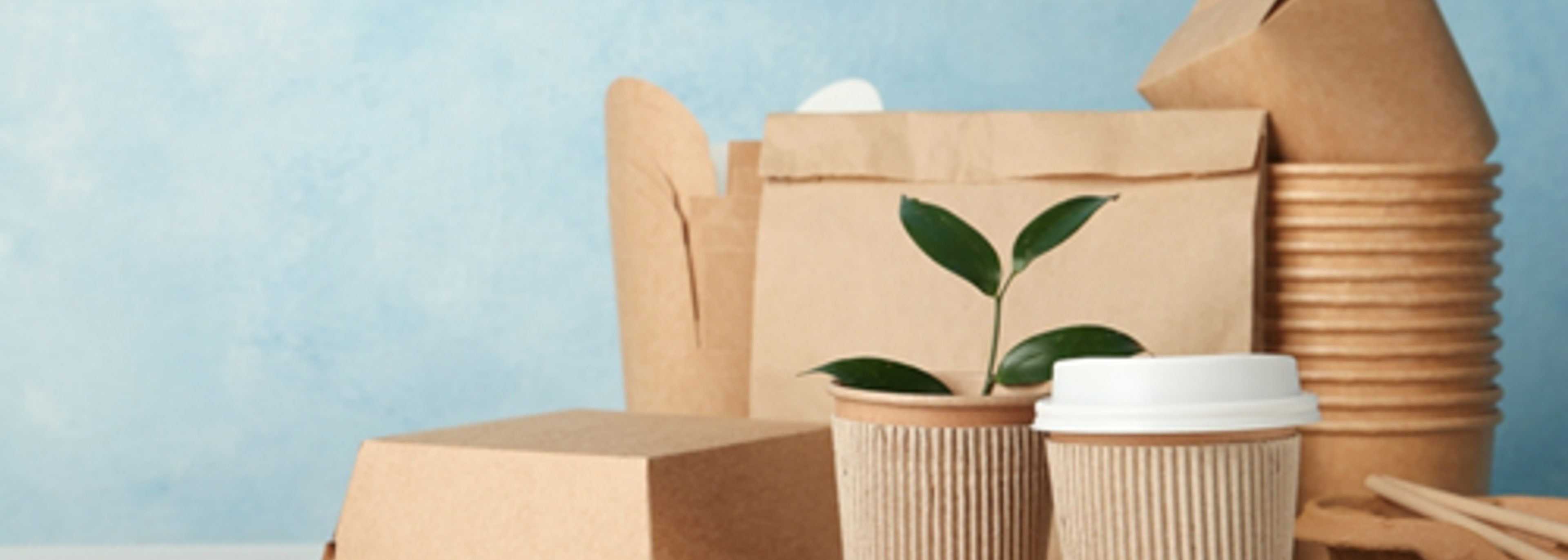 UK retailers are still selling toxic bamboo ware