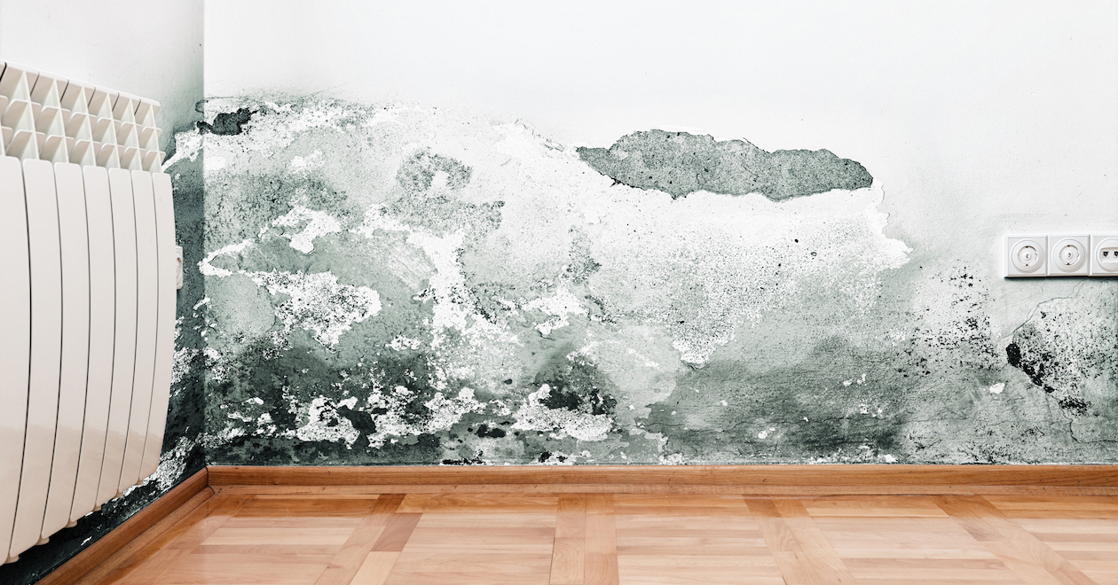 Inside wall with mould