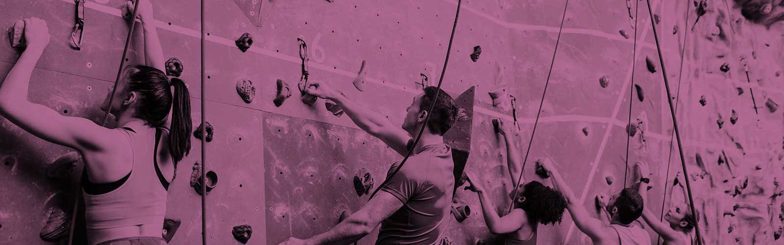 People on a rock climbing wall