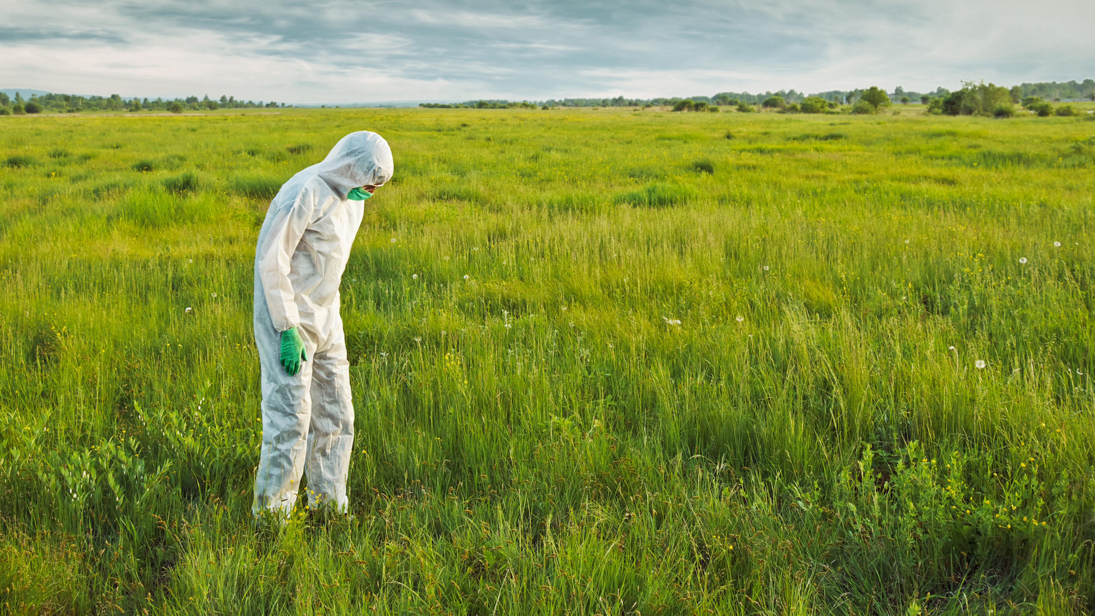 Get yourself an introduction to contaminated land management