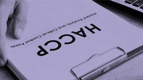HACCP documents in a clipboard