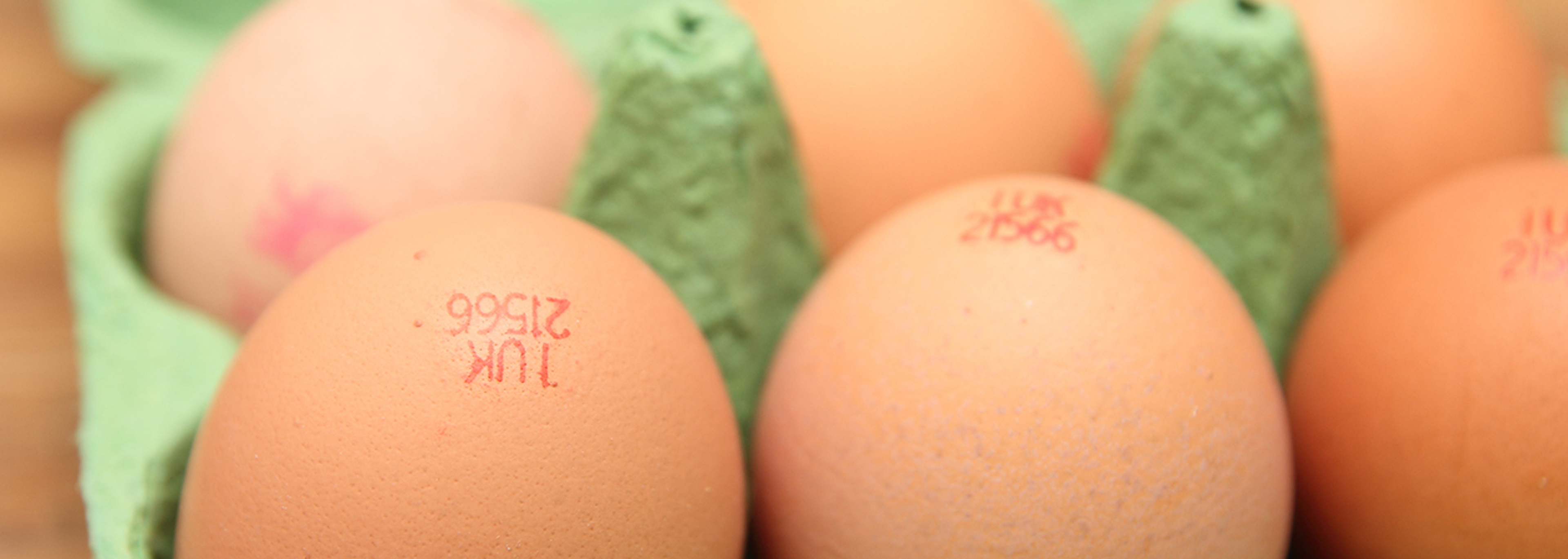 Call for stronger deterrent after 'relatively small' egg fine
