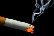 A smouldering cigarette