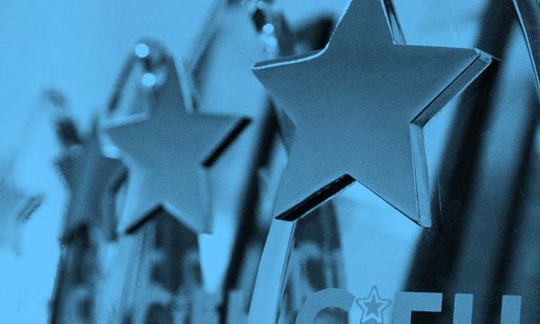 Close up of CIEH Awards trophy