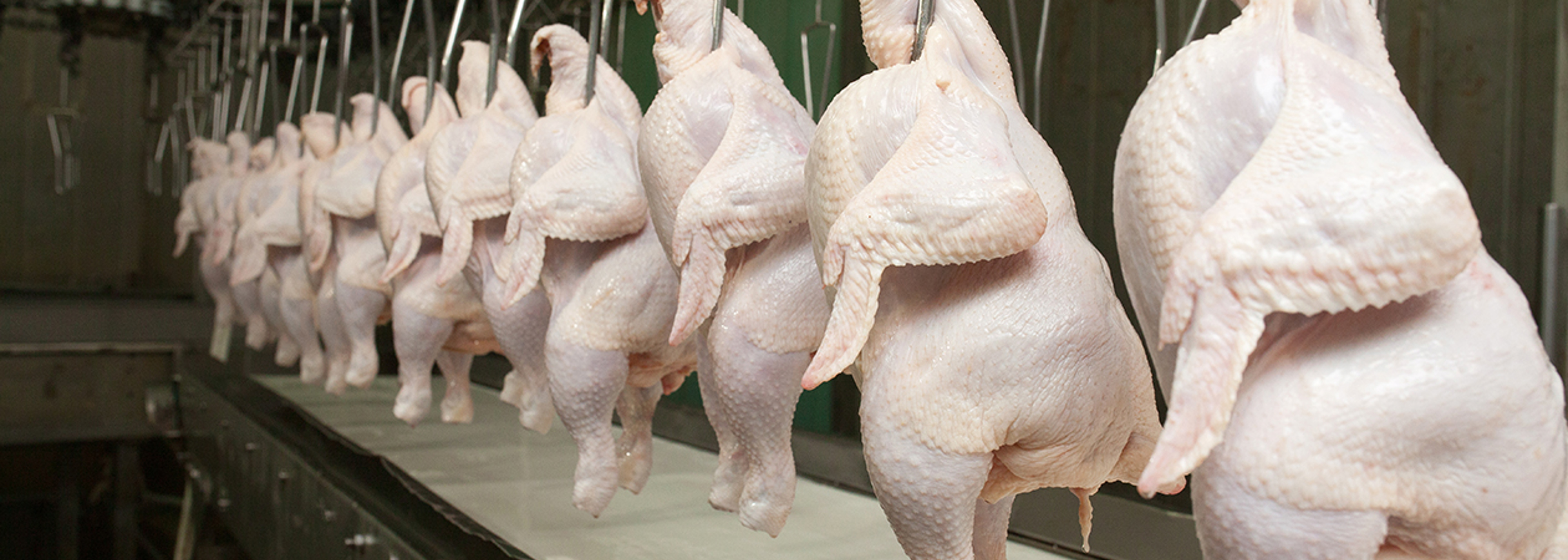 ‘Don’t sell lower-quality imported food,’ retailers are urged