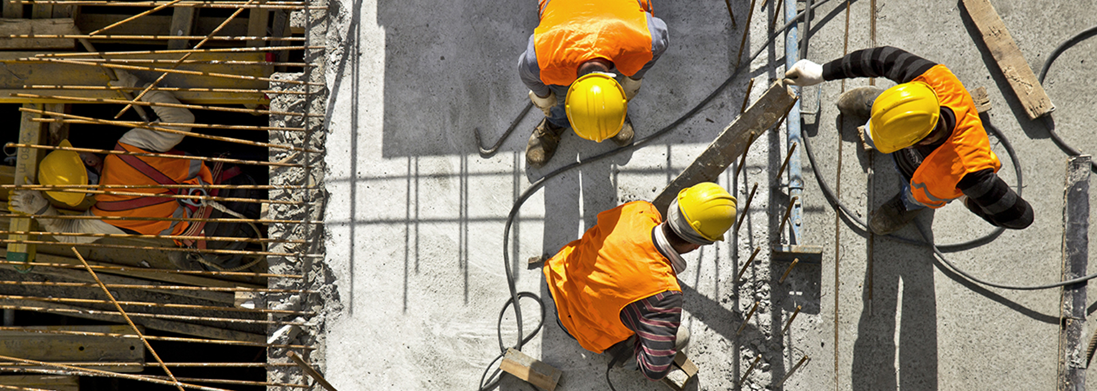 Campaigners appeal for a stop to non-essential work