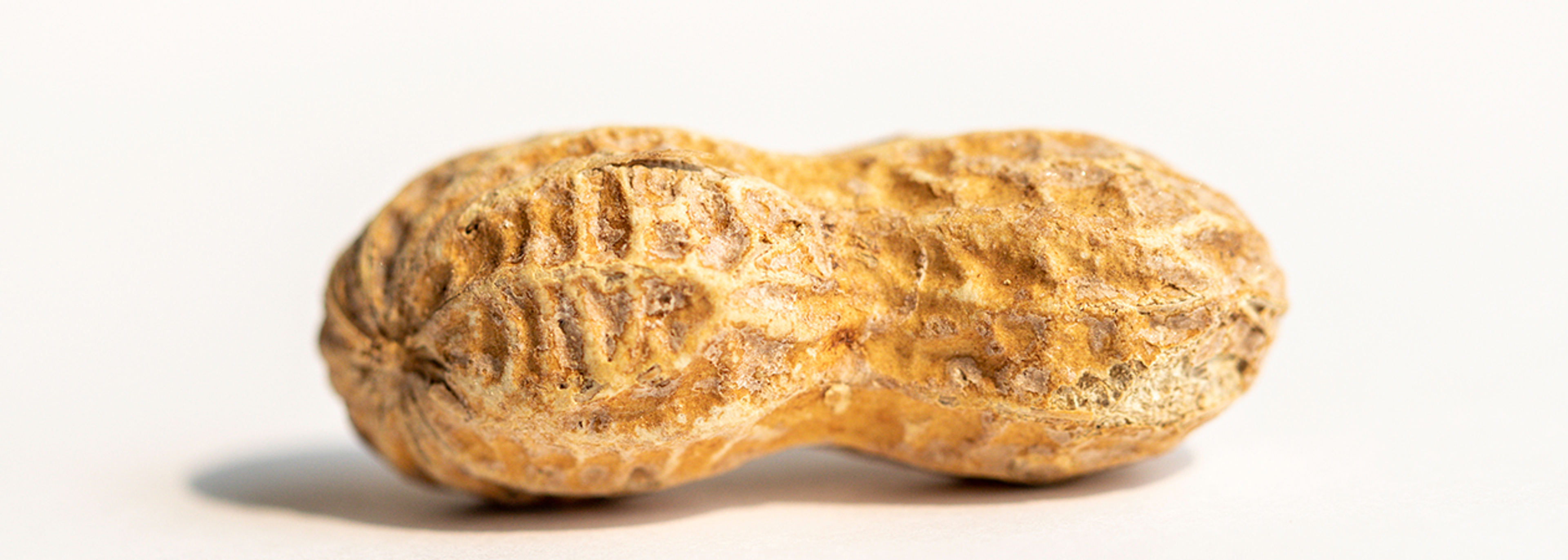 One in five food samples contains hidden allergens