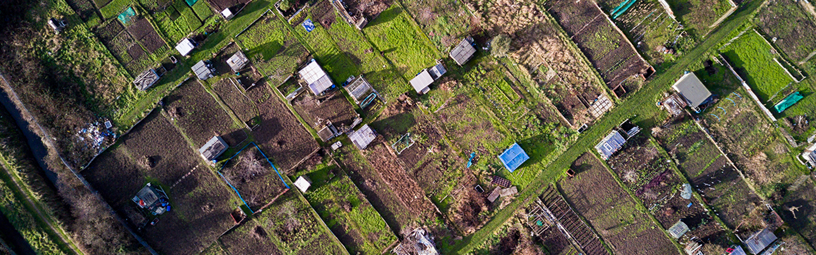 Aerial view of allotments