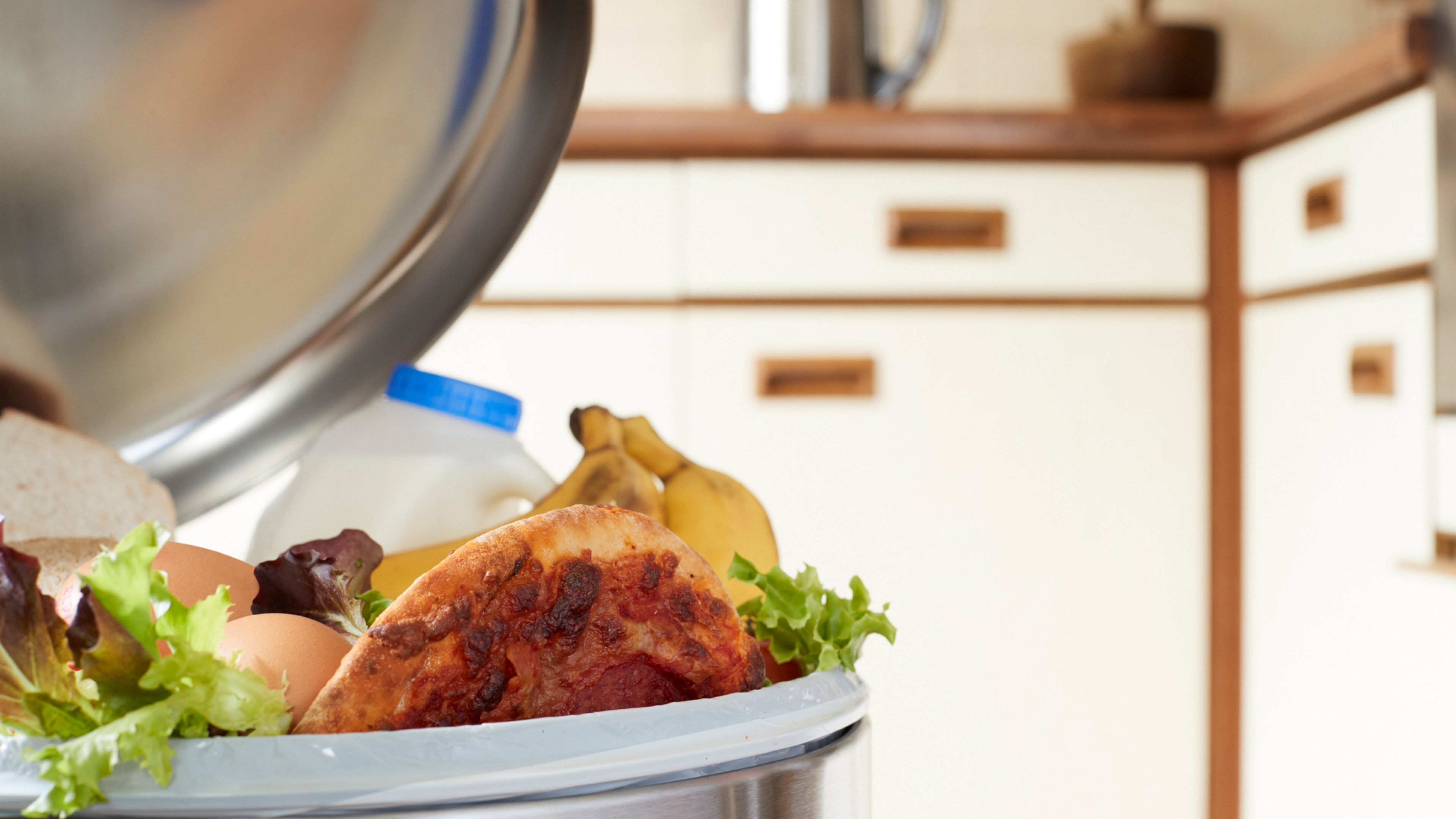 Guardians of Grub: help fight food waste