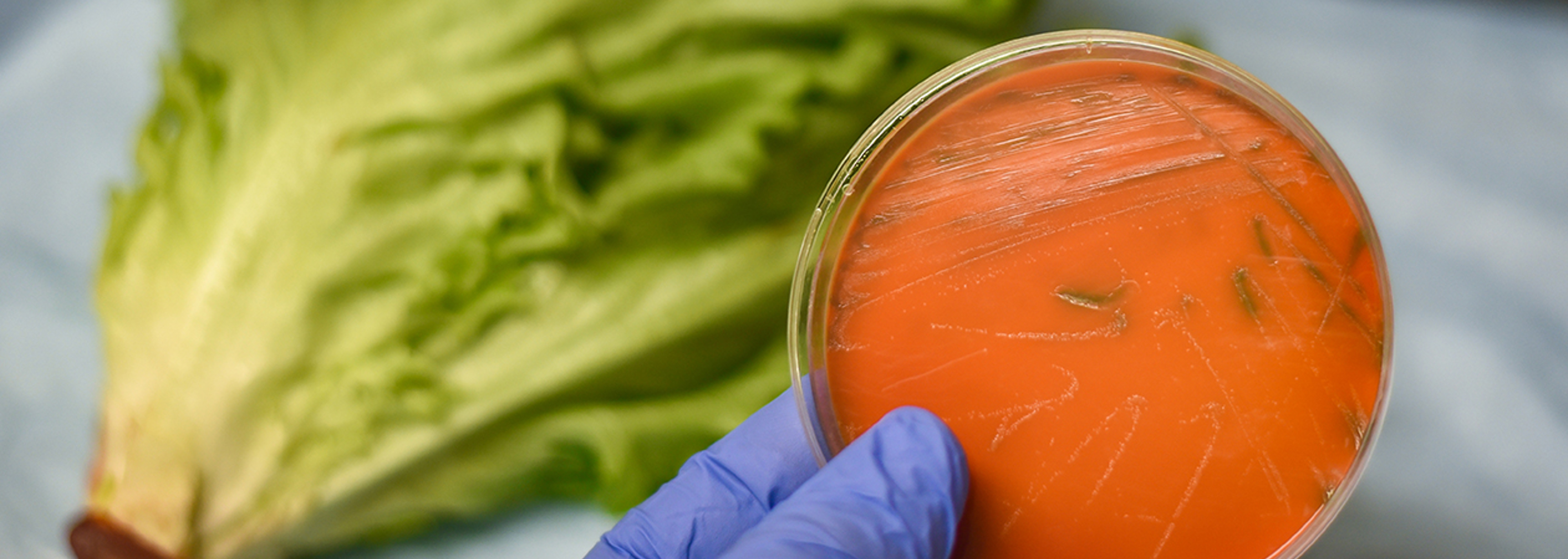 Listeria deaths result of ‘vulnerable public health situation’, says expert