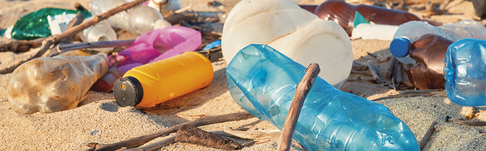 Plastic waste on a beach