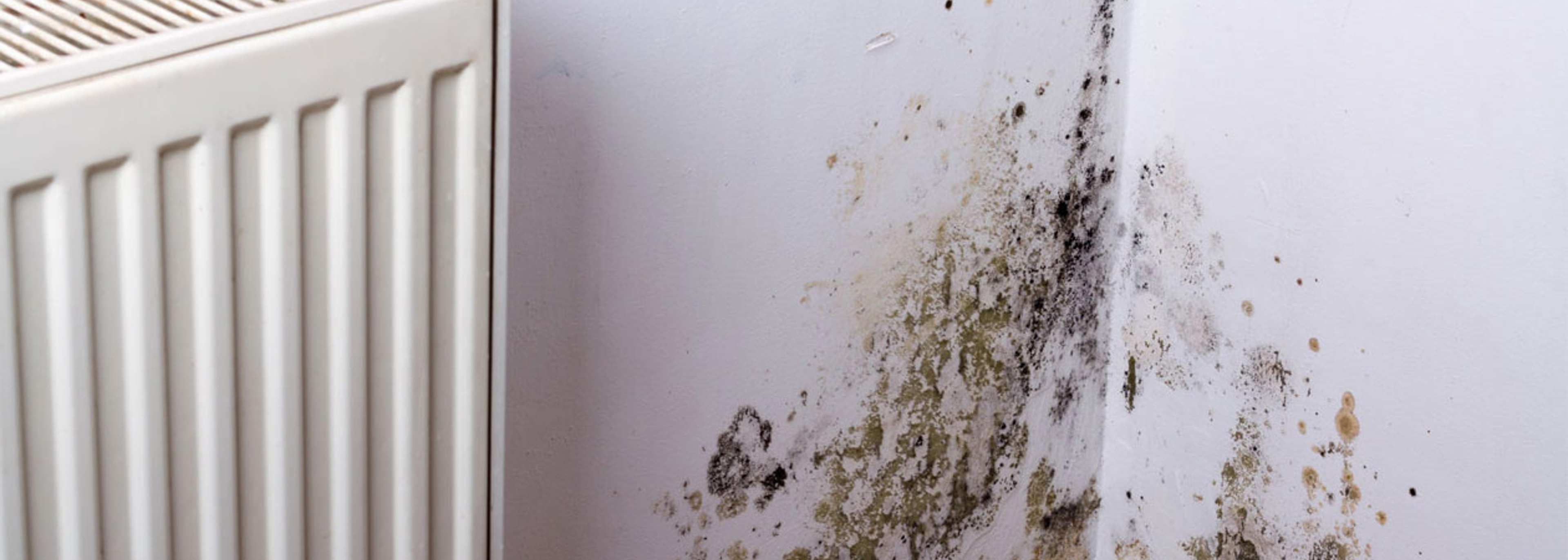Councils given rogue landlord funds