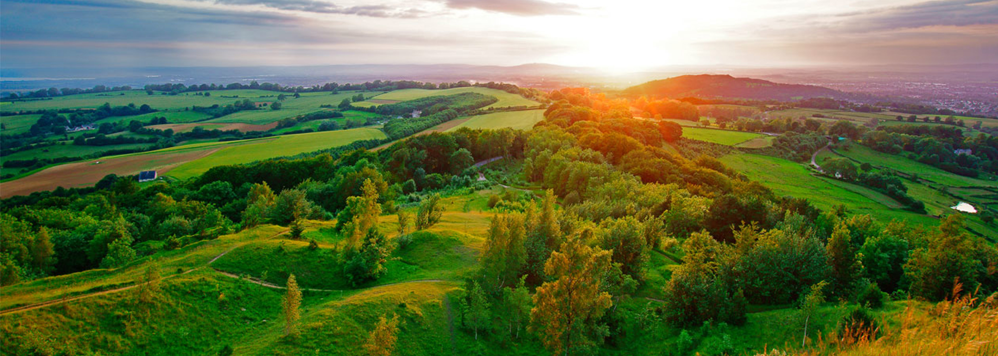 Green watchdog could take government to court