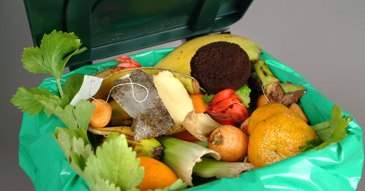 Waste strategy could lead to monthly bin collections