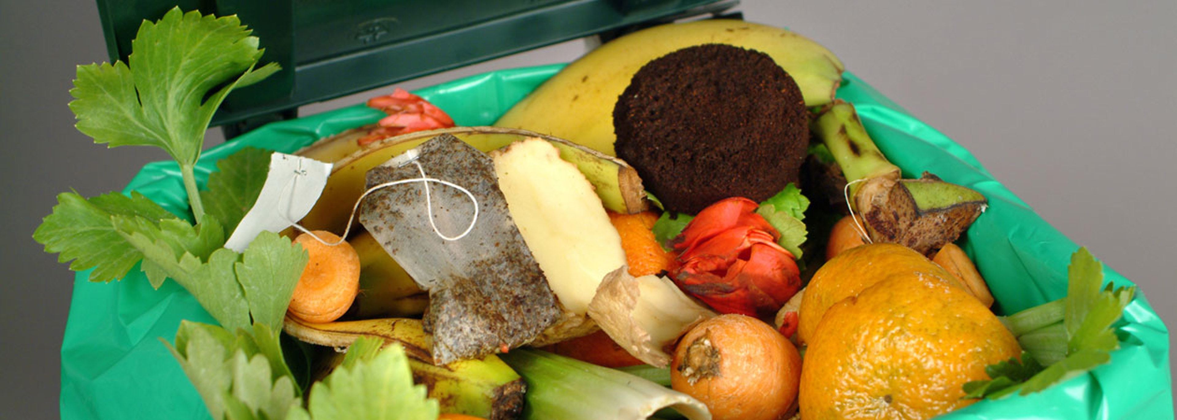 Waste strategy could lead to monthly bin collections