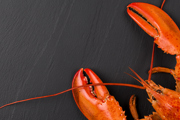Lobster