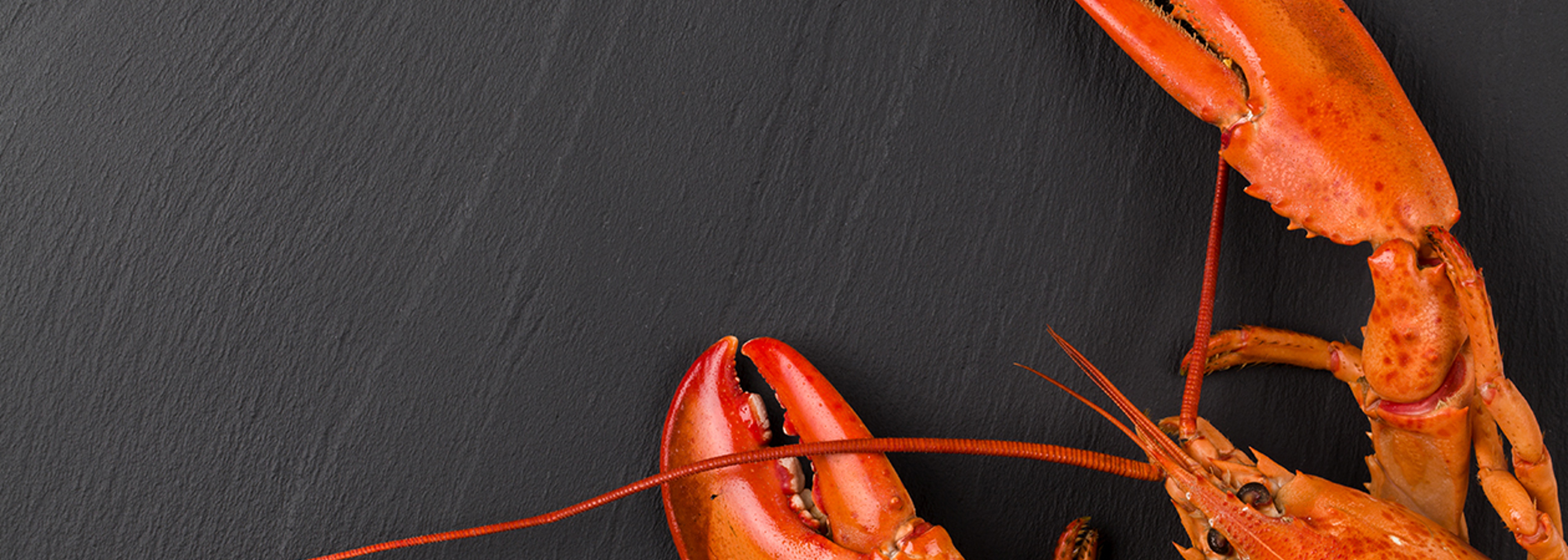 ASK Italian chain fined over ‘fishy’ lobster dish