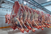 Rack of meat