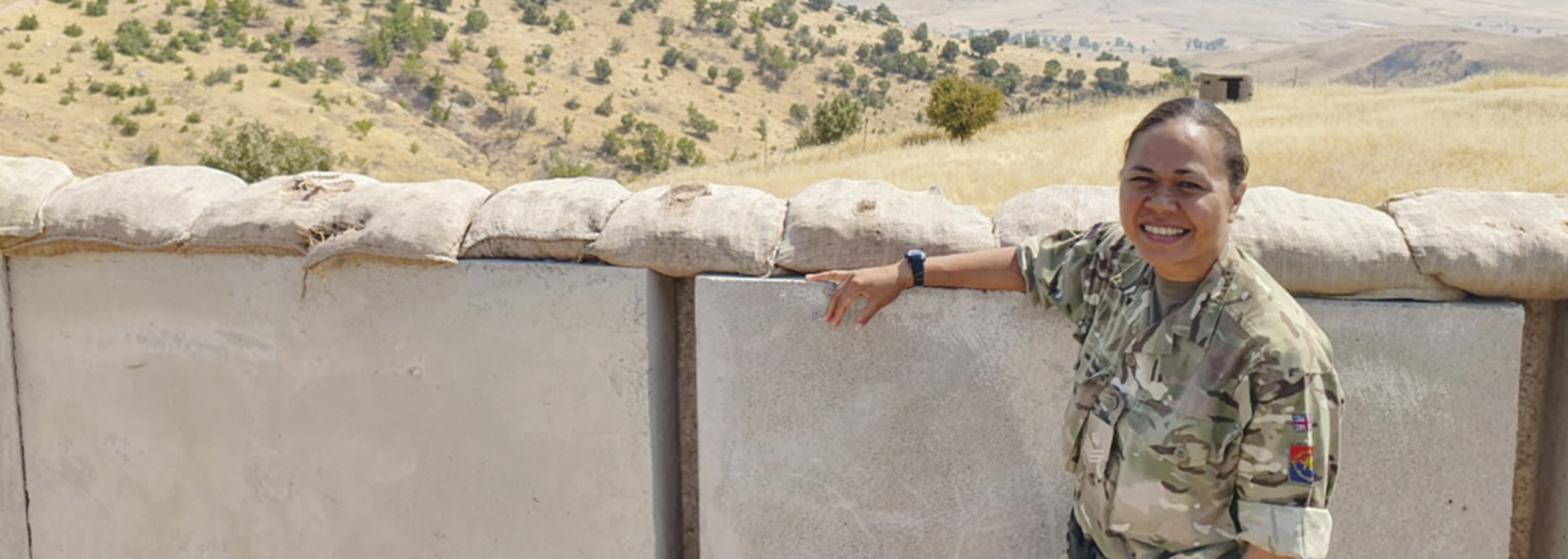 Tales from the front line: How Iraq’s mosquitoes bit the dust