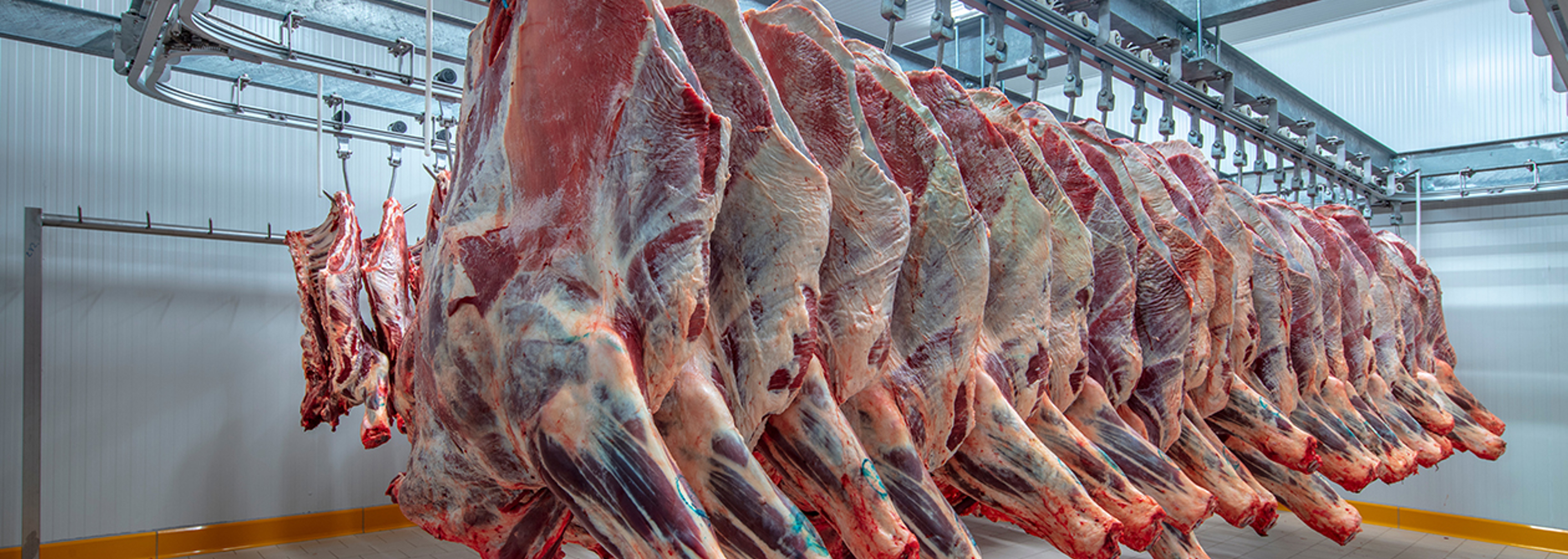 UK public wants stricter rules on meat quality, poll shows