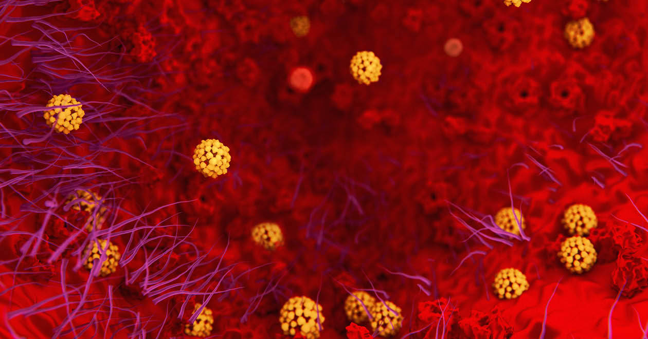 COVID-19 virus