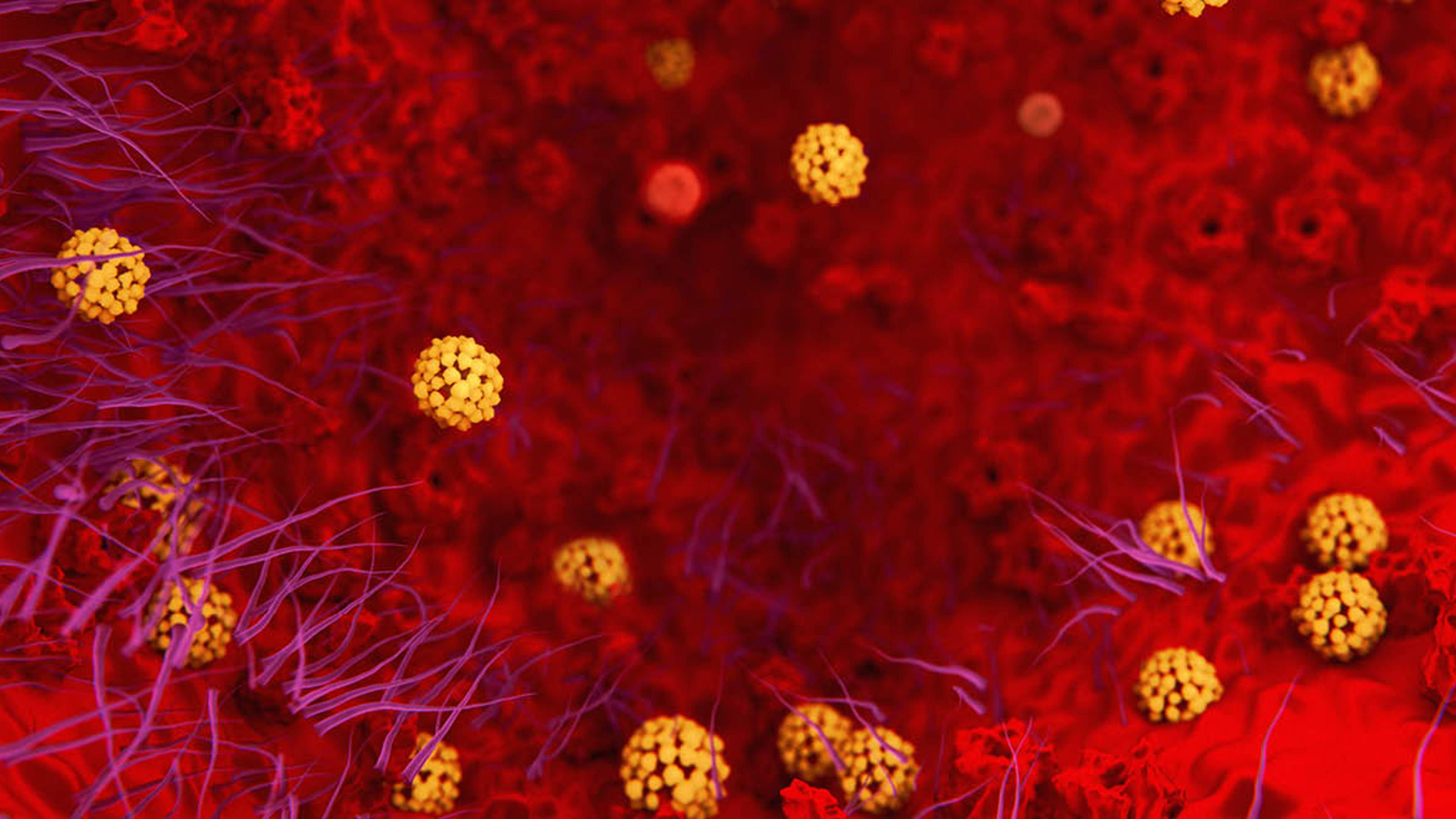 Coronavirus – a week of change