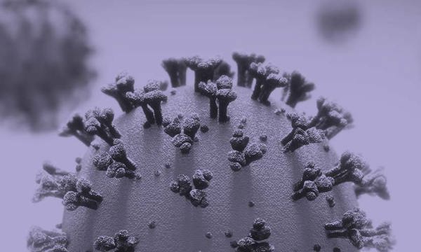 Image of a virus
