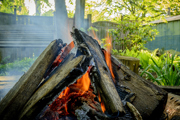 A bonfire in a garden