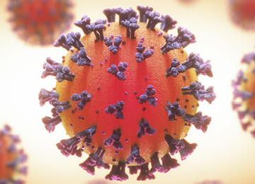 COVID-19 virus 