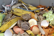 Food waste caddy