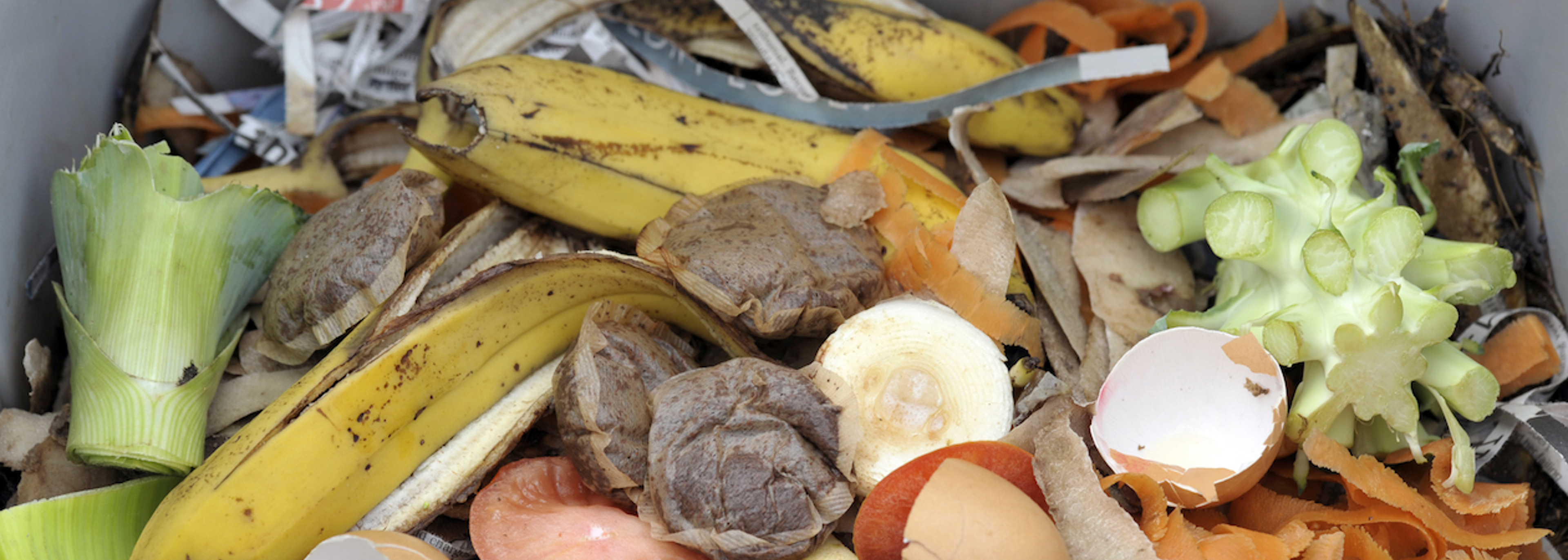 Food waste reduces as households adapt to eating in