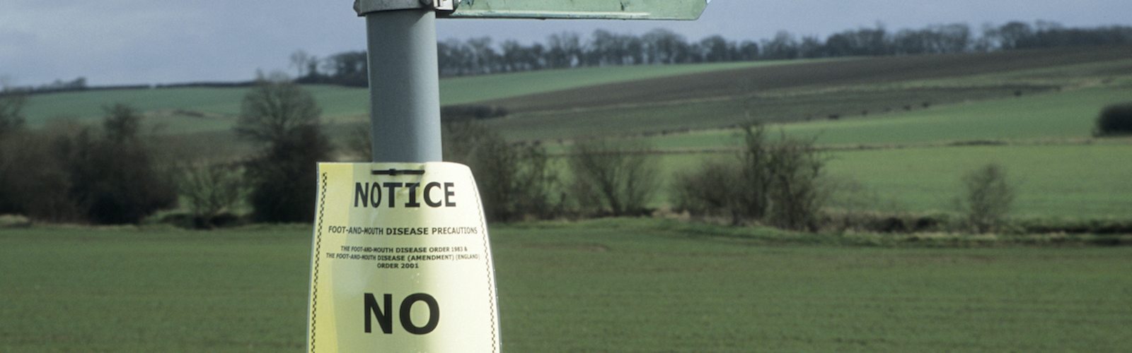 A 'no entry' sign in a field during the foot and mouth outbreak of 2001