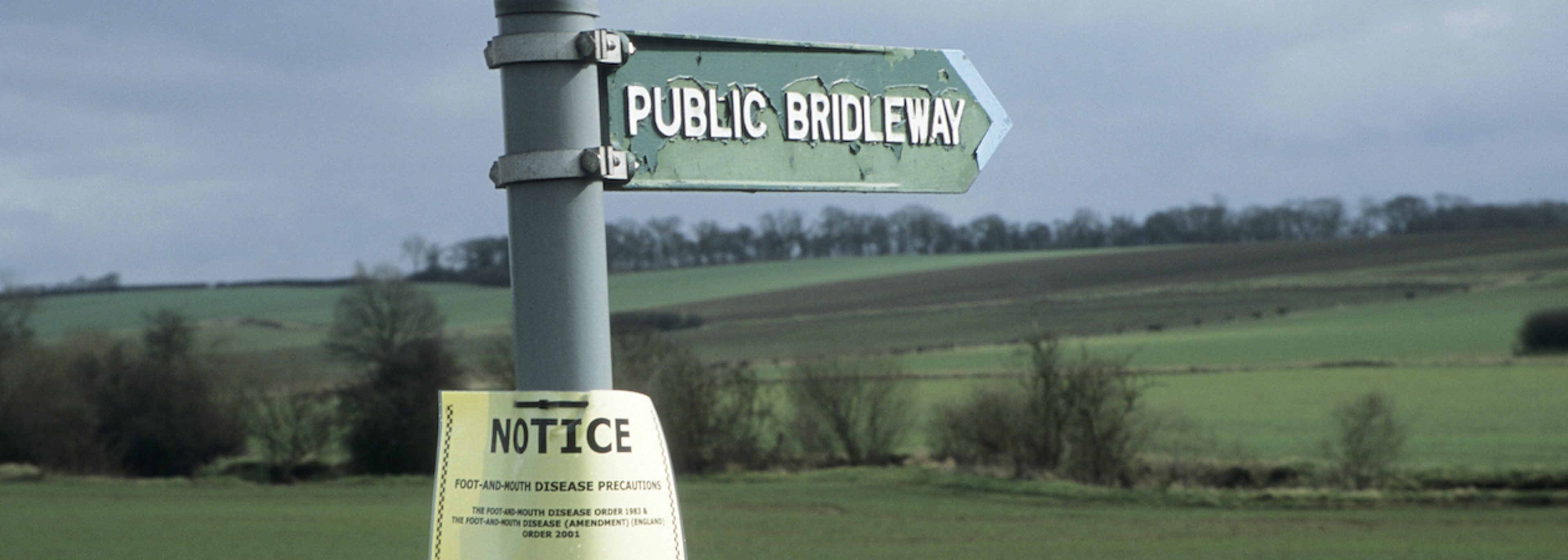 Centralised response to COVID-19 ‘reminiscent of handling of foot and mouth’