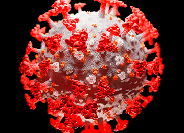 Coronavirus 