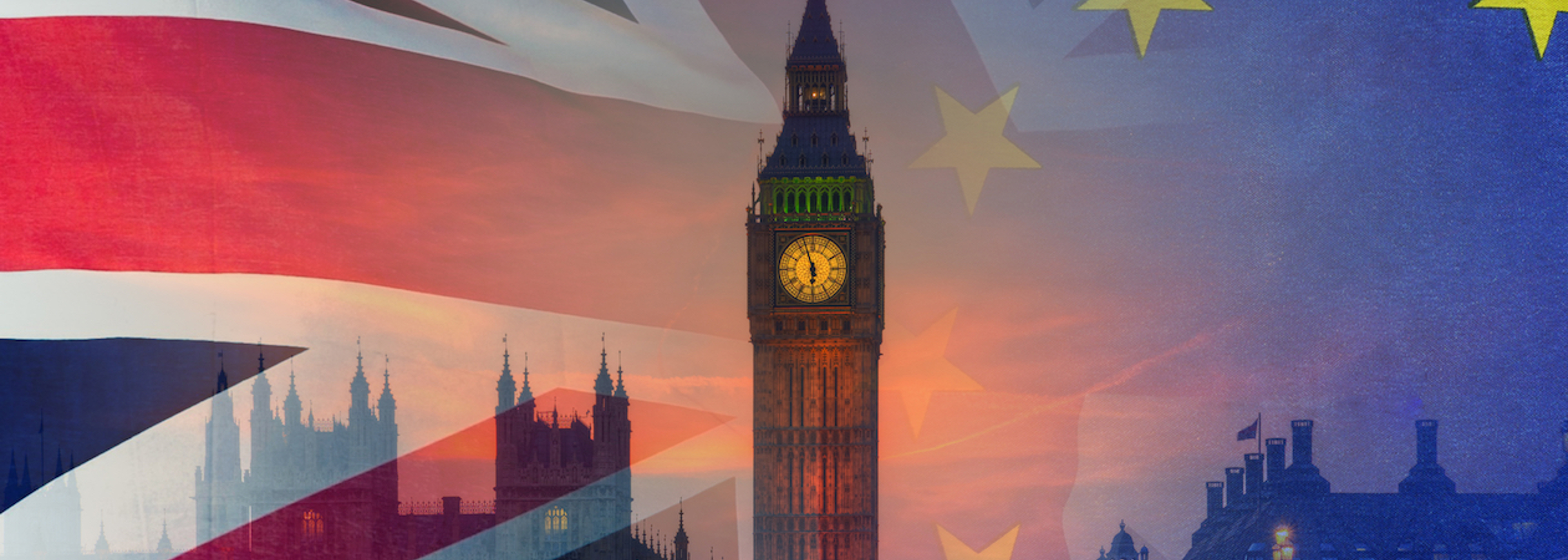 Report: House of Lords Agriculture Bill debate