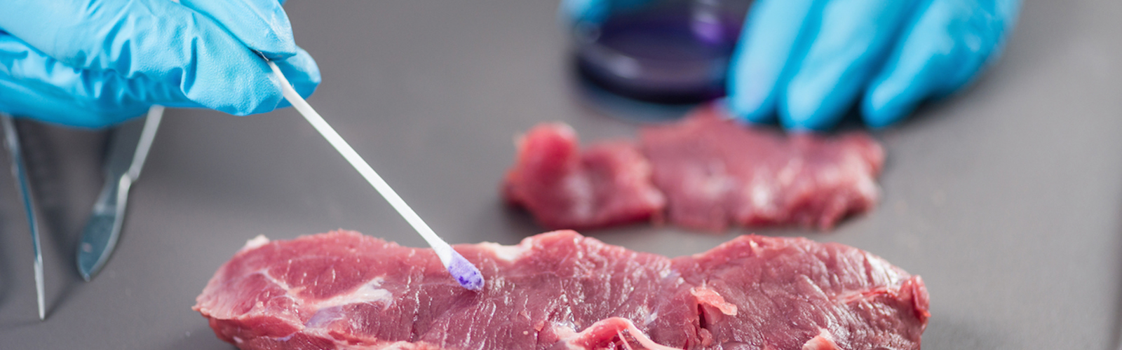 A swab being taken of a piece of red meat