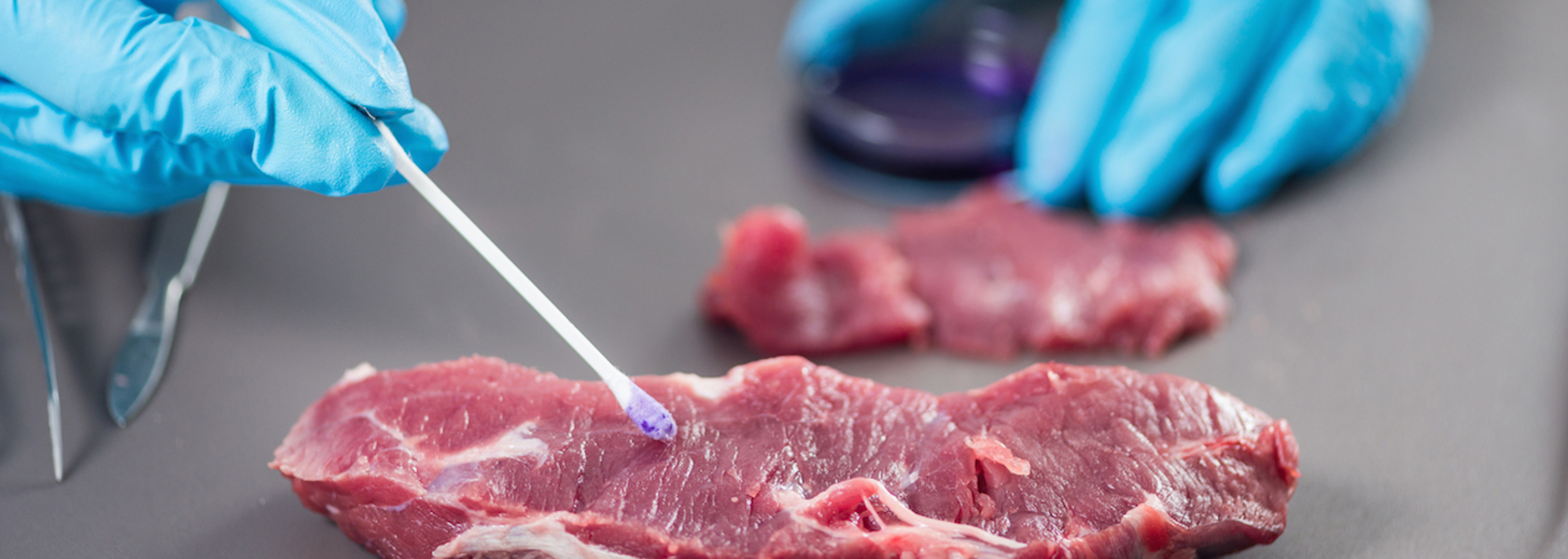 Food standards petition reaches 1 million signatures