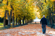A person walking alone in a park