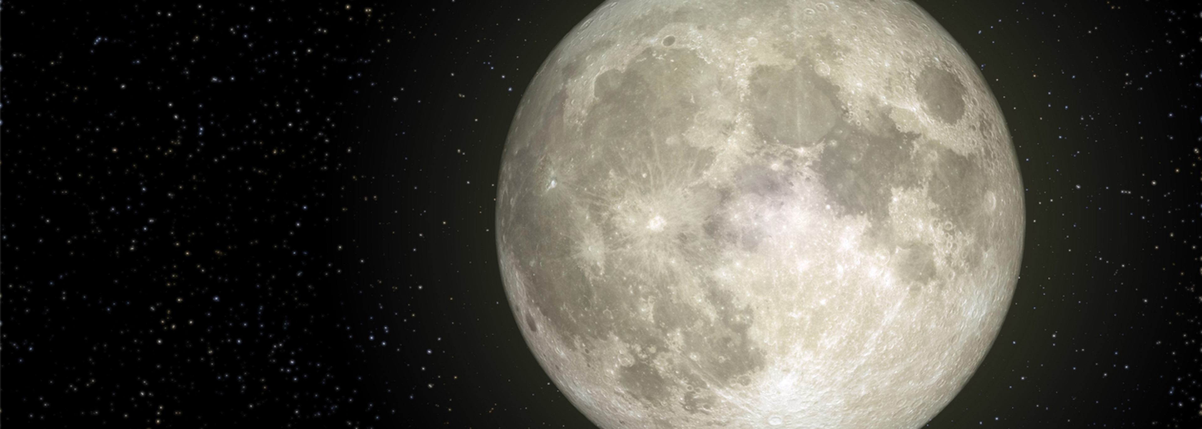 ‘Focus on track and trace, not £100bn Moonshot’