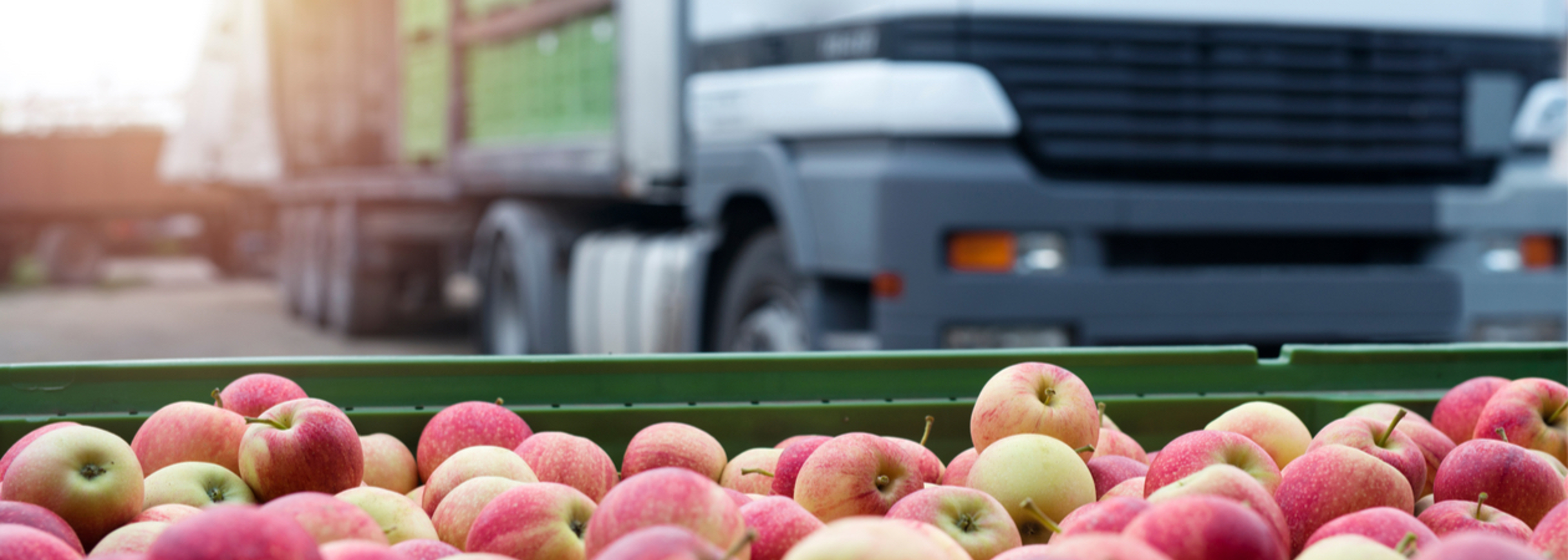 EHPs’ views on food standards and security