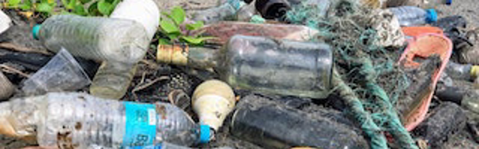 Discarded plastic bottles
