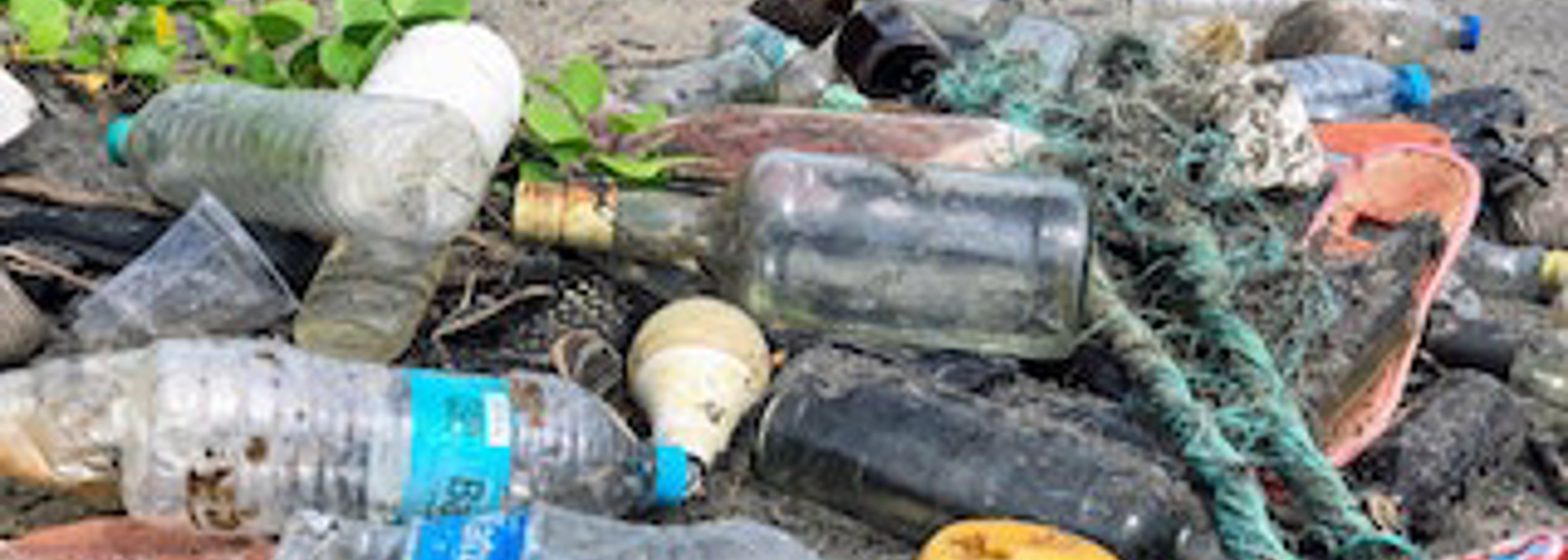 Green watchdog won't be ready in time