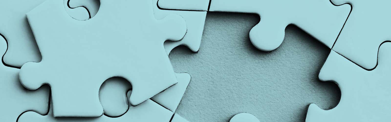 Jigsaw puzzle pieces