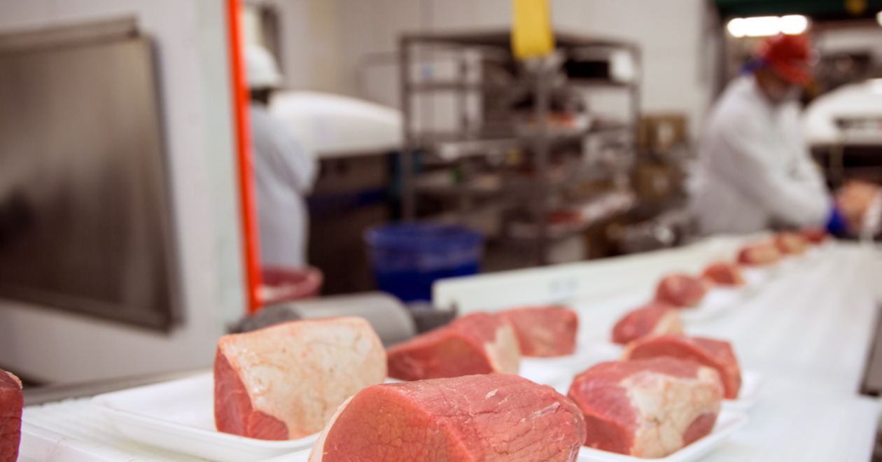 A meat plant production line