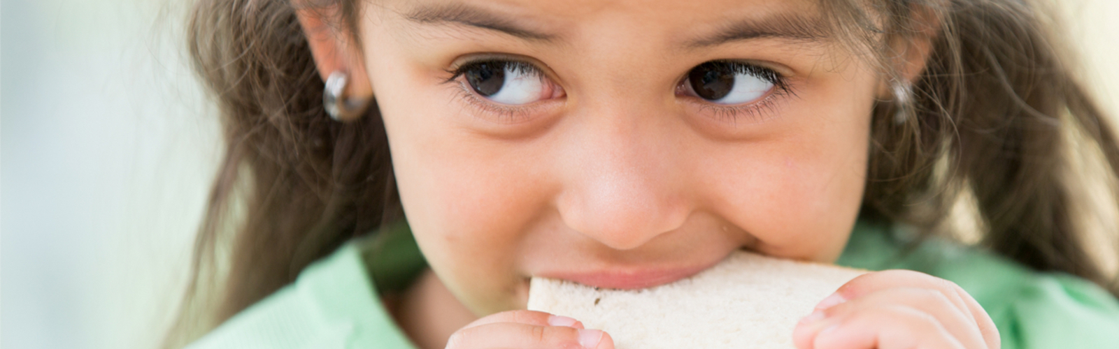 Little girl eating a sandwich