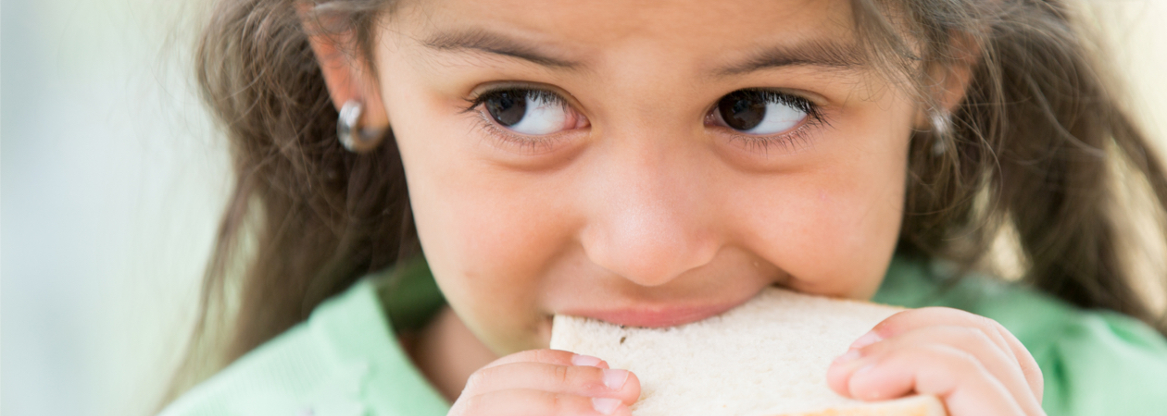 Food safety concerns for free school lunch boxes partially addressed